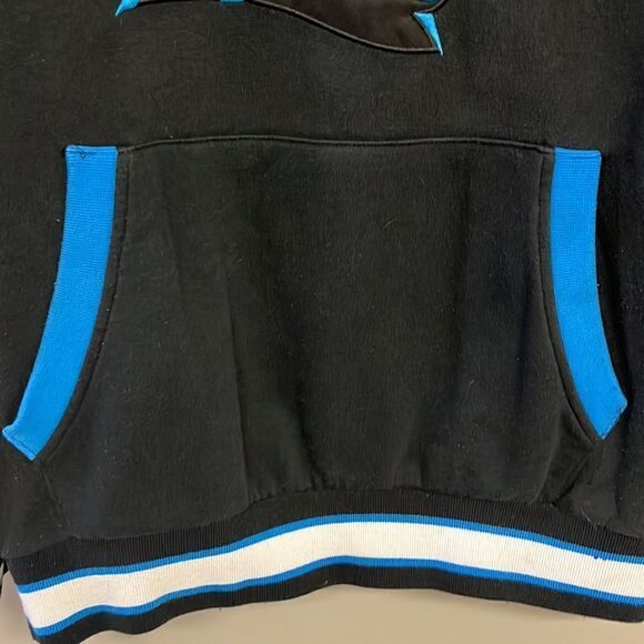 NFL Carolina Panther Black Pullover Hoodie with Kangaroo Pocket- Medium - Picture 6 of 16